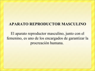 APARATO REPRODUCTOR MASCULINO
El aparato reproductor masculino, junto con el
femenino, es uno de los encargados de garantizar la
procreación humana.
 