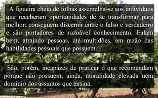 A figueira cheia de folhas assemelha-se aos indivíduos
que receberam oportunidades de se transformar para
melhor; conseguem discernir entre o falso e verdadeiro
e são portadores de razoável conhecimento. Falam
bem, atraindo pessoas, até multidões, em razão das
habilidades pessoais que possuem.
São, porém, incapazes de praticar o que recomendam
porque não possuem, ainda, moralidade elevada nem
domínio dos assuntos que ensina.
 