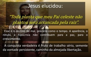 Jesus elucidou:
“Toda planta que meu Pai celeste não
plantou será arrancada pela raiz”.
Esse é o destino do mal, precário como o tempo. A aparência, o
rótulo, a hipocrisia não contribuem para a paz, para o
crescimento.
A conquista verdadeira é fruto de trabalho sério, semente
da vontade persistente, caminho da almejada libertação.
 