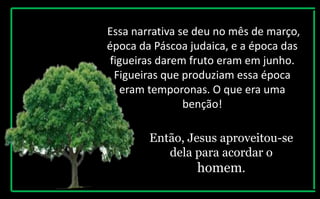Essa narrativa se deu no mês de março,
época da Páscoa judaica, e a época das
figueiras darem fruto eram em junho.
Figueiras que produziam essa época
eram temporonas. O que era uma
benção!
Então, Jesus aproveitou-se
dela para acordar o
homem.
 