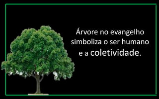 Árvore no evangelho
simboliza o ser humano
e a coletividade.
 