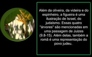 Além da oliveira, da videira e do
espinheiro, a figueira é uma
ilustração de Israel, do
judaísmo. Essas quatro
"árvores" são mencionadas em
uma passagem de Juízes
(9.8-15). Além delas, também a
romã é uma representação do
povo judeu.
 