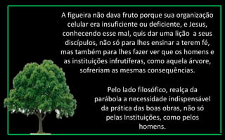 A figueira não dava fruto porque sua organização
celular era insuficiente ou deficiente, e Jesus,
conhecendo esse mal, quis dar uma lição a seus
discípulos, não só para lhes ensinar a terem fé,
mas também para lhes fazer ver que os homens e
as instituições infrutíferas, como aquela árvore,
sofreriam as mesmas consequências.
Pelo lado filosófico, realça da
parábola a necessidade indispensável
da prática das boas obras, não só
pelas Instituições, como pelos
homens.
 