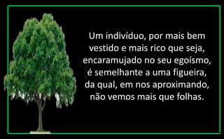 Um indivíduo, por mais bem
vestido e mais rico que seja,
encaramujado no seu egoísmo,
é semelhante a uma figueira,
da qual, em nos aproximando,
não vemos mais que folhas.
 