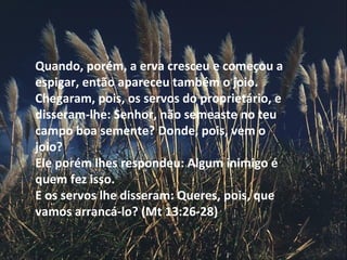 Quando, porém, a erva cresceu e começou a
espigar, então apareceu também o joio.
Chegaram, pois, os servos do proprietário, e
disseram-lhe: Senhor, não semeaste no teu
campo boa semente? Donde, pois, vem o
joio?
Ele porém lhes respondeu: Algum inimigo é
quem fez isso.
E os servos lhe disseram: Queres, pois, que
vamos arrancá-lo? (Mt 13:26-28)
 