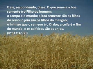 E ele, respondendo, disse: O que semeia a boa
semente é o Filho do homem;
o campo é o mundo; a boa semente são os filhos
do reino; o joio são os filhos do maligno;
o inimigo que o semeou é o Diabo; a ceifa é o fim
do mundo, e os ceifeiros são os anjos.
(Mt 13:37-39)
 