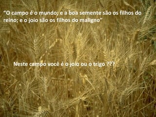 Neste campo você é o joio ou o trigo ???
“O campo é o mundo; e a boa semente são os filhos do
reino; e o joio são os filhos do maligno”
 