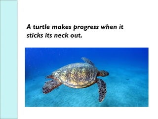 A turtle makes progress when it
sticks its neck out.
 