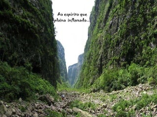 Ao espírito que plaina  inflamado... 