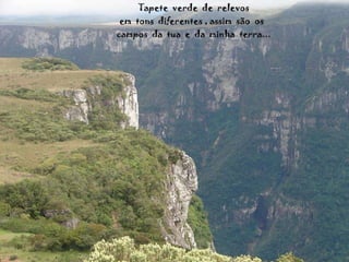Tapete  verde  de  relevos em  tons  diferentes , assim  são  os  campos  da  tua  e  da  minha  terra... 