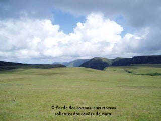 O Verde dos campos, com marcas salientes dos capões de mato. 