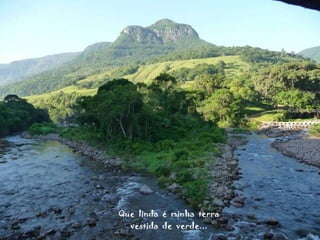 Que  linda  é  minha  terra vestida  de  verde... 