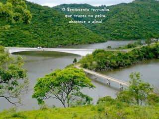 O  Sentimento  terrunho que  trazes  no  peito, abastece  a  alma! 