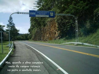 Mas,  quando  a  alma  campeira vazia  de  campos  retouça no  peito  a  saudade  maior, 