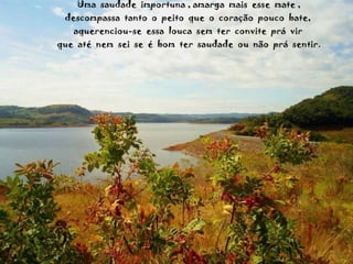 Uma  saudade  importuna , amarga  mais  esse  mate , descompassa  tanto  o  peito  que  o  coração  pouco  bate,  aquerenciou-se  essa  louca  sem  ter  convite  prá  vir  que  até  nem  sei  se  é  bom  ter  saudade  ou  não  prá  sentir. 