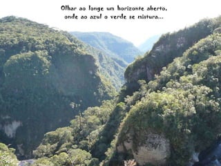 Olhar  ao  longe  um  horizonte  aberto, onde  ao  azul  o  verde  se  mistura... 