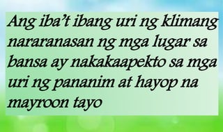 Ang iba’t ibang uri ng klimang
nararanasan ng mga lugar sa
bansa ay nakakaapekto sa mga
uri ng pananim at hayop na
mayroon tayo
 