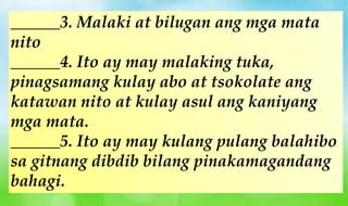 ______3. Malaki at bilugan ang mga mata
nito
______4. Ito ay may malaking tuka,
pinagsamang kulay abo at tsokolate ang
katawan nito at kulay asul ang kaniyang
mga mata.
______5. Ito ay may kulang pulang balahibo
sa gitnang dibdib bilang pinakamagandang
bahagi.
 