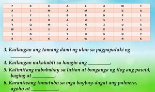 3. Kailangan ang tamang dami ng ulan sa pagpapalaki ng
________.
4. Kailangan nakakubli sa hangin ang _________.
5. Kalimitang nabubuhay sa latian at bunganga ng ilog ang pawid,
baging at _________.
6. Karaniwang tumutubo sa mga baybay-dagat ang palmera,
agoho at ___________.
P X K A L A W T
A I M A M A G A
L Y L B R N P L
A Z R A U V T I
Y Q M C N Z U S
W A S A T D B A
T N I Y O G O Y
B A K A W A N K
 