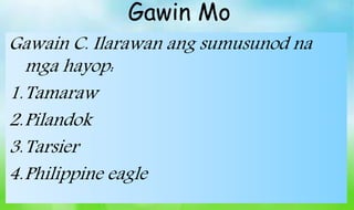Gawain C. Ilarawan ang sumusunod na
mga hayop:
1.Tamaraw
2.Pilandok
3.Tarsier
4.Philippine eagle
Gawin Mo
 