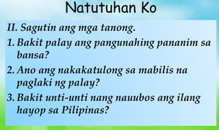 II. Sagutin ang mga tanong.
1. Bakit palay ang pangunahing pananim sa
bansa?
2. Ano ang nakakatulong sa mabilis na
paglaki ng palay?
3. Bakit unti-unti nang nauubos ang ilang
hayop sa Pilipinas?
Natutuhan Ko
 