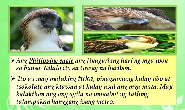 mg datování tawag sa pilipinas