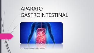 APARATO
GASTROINTESTINAL
CD. María Laura Bautista Molina.
 