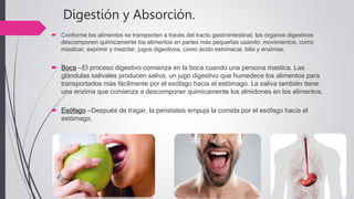 Digestión y Absorción.
 Conforme los alimentos se transportan a través del tracto gastrointestinal, los órganos digestivos
descomponen químicamente los alimentos en partes más pequeñas usando: movimientos, como
masticar, exprimir y mezclar, jugos digestivos, como ácido estomacal, bilis y enzimas.
 Boca —El proceso digestivo comienza en la boca cuando una persona mastica. Las
glándulas salivales producen saliva, un jugo digestivo que humedece los alimentos para
transportarlos más fácilmente por el esófago hacia el estómago. La saliva también tiene
una enzima que comienza a descomponer químicamente los almidones en los alimentos.
 Esófago —Después de tragar, la peristalsis empuja la comida por el esófago hacia el
estómago.
 