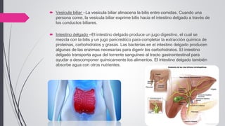  Vesícula biliar —La vesícula biliar almacena la bilis entre comidas. Cuando una
persona come, la vesícula biliar exprime bilis hacia el intestino delgado a través de
los conductos biliares.
 Intestino delgado —El intestino delgado produce un jugo digestivo, el cual se
mezcla con la bilis y un jugo pancreático para completar la extracción química de
proteínas, carbohidratos y grasas. Las bacterias en el intestino delgado producen
algunas de las enzimas necesarias para digerir los carbohidratos. El intestino
delgado transporta agua del torrente sanguíneo al tracto gastrointestinal para
ayudar a descomponer químicamente los alimentos. El intestino delgado también
absorbe agua con otros nutrientes.
 