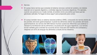  Nervios
 El cuerpo tiene nervios que conectan el sistema nervioso central (el cerebro y la médula
espinal) con el aparato digestivo y controlan algunas funciones digestivas. Por ejemplo,
cuando una persona ve o huele comida, el cerebro envía una señal que hace que las
glándulas salivales "le hagan la boca agua" para prepararla para comer.
 El cuerpo también tiene un sistema nervioso entérico (SNE), compuesto de nervios dentro de
las paredes del tracto gastrointestinal. Cuando los alimentos estiran las paredes del tracto
gastrointestinal, los nervios del SNE liberan muchas sustancias diferentes que aceleran o
retrasan la movilización de los alimentos y la producción de jugos digestivos. Los nervios
envían señales para controlar las acciones de los músculos del intestino de contraerse y
relajarse con el fin de empujar los alimentos a través de los intestinos.
 