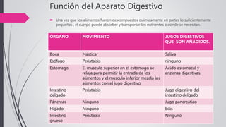 Función del Aparato Digestivo
 Una vez que los alimentos fueron descompuestos químicamente en partes lo suficientemente
pequeñas , el cuerpo puede absorber y transportar los nutrientes a donde se necesitan.
ÓRGANO MOVIMIENTO JUGOS DIGESTIVOS
QUE SON AÑADIDOS.
Boca Masticar Saliva
Esófago Peristalsis ninguno
Estomago El musculo superior en el estomago se
relaja para permitir la entrada de los
alimentos y el musculo inferior mezcla los
alimentos con el jugo digestivo
Ácido estomacal y
enzimas digestivas.
Intestino
delgado
Peristalsis Jugo digestivo del
intestino delgado
Páncreas Ninguno Jugo pancreático
Hígado Ninguno bilis
Intestino
grueso
Peristalsis Ninguno
 