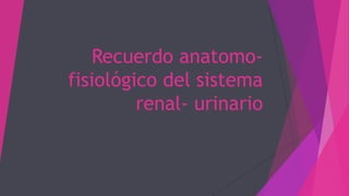 Recuerdo anatomo-
fisiológico del sistema
renal- urinario
 