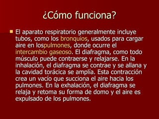 ¿Cómo funciona? El aparato respiratorio generalmente incluye tubos, como los  bronquios , usados para cargar aire en los pulmones , donde ocurre el  intercambio  gaseoso . El diafragma, como todo músculo puede contraerse y relajarse. En la inhalación, el diafragma se contrae y se allana y la cavidad torácica se amplía. Esta contracción crea un vacío que succiona el aire hacia los pulmones. En la exhalación, el diafragma se relaja y retoma su forma de domo y el aire es expulsado de los pulmones.  