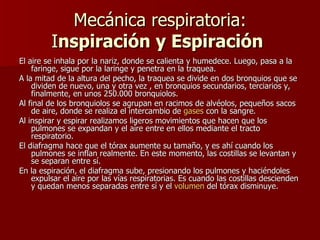 Mecánica respiratoria: I nspiración y Espiración   El aire se inhala por la nariz, donde se calienta y humedece. Luego, pasa a la faringe, sigue por la laringe y penetra en la traquea. A la mitad de la altura del pecho, la traquea se divide en dos bronquios que se dividen de nuevo, una y otra vez , en bronquios secundarios, terciarios y, finalmente, en unos 250.000 bronquiolos. Al final de los bronquiolos se agrupan en racimos de alvéolos, pequeños sacos de aire, donde se realiza el intercambio de  gases  con la sangre. Al inspirar y espirar realizamos ligeros movimientos que hacen que los pulmones se expandan y el aire entre en ellos mediante el tracto respiratorio. El diafragma hace que el tórax aumente su tamaño, y es ahí cuando los pulmones se inflan realmente. En este momento, las costillas se levantan y se separan entre sí. En la espiración, el diafragma sube, presionando los pulmones y haciéndoles expulsar el aire por las vías respiratorias. Es cuando las costillas descienden y quedan menos separadas entre sí y el  volumen  del tórax disminuye. 