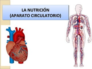 LA NUTRICIÓNLA NUTRICIÓN
(APARATO CIRCULATORIO)(APARATO CIRCULATORIO)
LA NUTRICIÓNLA NUTRICIÓN
(APARATO CIRCULATORIO)(APARATO CIRCULATORIO)
 