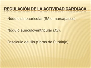 - Nódulo sinoauricular (SA o marcapasos).
- Nódulo auriculoventricular (AV).
- Fasciculo de His (fibras de Purkinje).
 