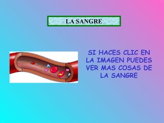 LA SANGRE
SI HACES CLIC EN
LA IMAGEN PUEDES
VER MAS COSAS DE
LA SANGRE
 