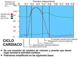 CICLO CARDIACO  Es una sucesión de cambios de volumen y presión que tienen lugar durante la actividad cardíaca. Podriamos simplificarlo en las siguientes fases: 