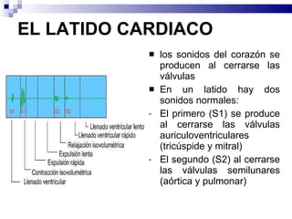 EL LATIDO CARDIACO los sonidos del corazón se producen al cerrarse las válvulas En un latido hay dos sonidos normales: El primero (S1) se produce al cerrarse las válvulas auriculoventriculares (tricúspide y mitral) El segundo (S2) al cerrarse las válvulas semilunares (aórtica y pulmonar) 