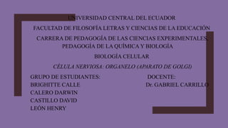 UNIVERSIDAD CENTRAL DEL ECUADOR
FACULTAD DE FILOSOFÍA LETRAS Y CIENCIAS DE LA EDUCACIÓN
CARRERA DE PEDAGOGÍA DE LAS CIENCIAS EXPERIMENTALES,
PEDAGOGÍA DE LA QUÍMICA Y BIOLOGÍA
BIOLOGÍA CELULAR
CÉLULA NERVIOSA: ORGANELO (APARATO DE GOLGI)
GRUPO DE ESTUDIANTES: DOCENTE:
BRIGHITTE CALLE Dr. GABRIEL CARRILLO
CALERO DARWIN
CASTILLO DAVID
LEÓN HENRY
 