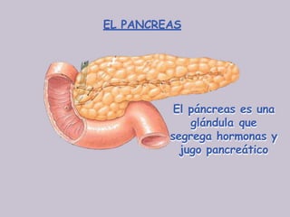 EL PANCREAS
El páncreas es una
glándula que
segrega hormonas y
jugo pancreático
 