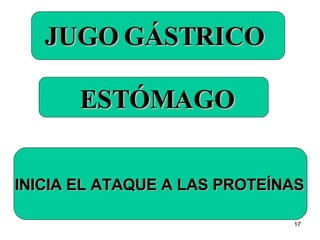 JUGO GÁSTRICO ESTÓMAGO INICIA EL ATAQUE A LAS PROTEÍNAS   