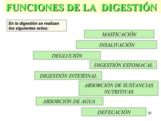 FUNCIONES DE LA  DIGESTIÓN  MASTICACIÓN INSALIVACIÓN DEGLUCIÓN DIGESTIÓN ESTOMACAL DIGESTIÓN INTESTINAL ABSORCIÓN DE SUSTANCIAS NUTRITIVAS ABSORCIÓN DE AGUA   DEFECACIÓN En la digestión se realizan los siguientes actos:   