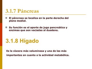 3.1.7 Páncreas
   El páncreas se localiza en la parte derecha del
    plano medial.

   Su función es el aporte de jugo pancreático y
    enzimas que son vaciadas al duodeno.




3.1.8 Hígado
Es la víscera más voluminosa y una de las más
importantes en cuanto a la actividad metabólica.
 