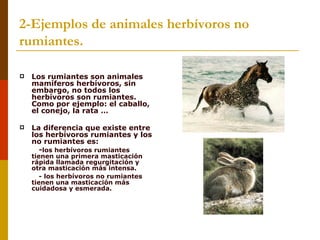 2-Ejemplos de animales herbívoros no
rumiantes.

   Los rumiantes son animales
    mamíferos herbívoros, sin
    embargo, no todos los
    herbívoros son rumiantes.
    Como por ejemplo: el caballo,
    el conejo, la rata …

   La diferencia que existe entre
    los herbívoros rumiantes y los
    no rumiantes es:
      -los herbívoros rumiantes
    tienen una primera masticación
    rápida llamada regurgitación y
    otra masticación más intensa.
       - los herbívoros no rumiantes
    tienen una masticación más
    cuidadosa y esmerada.
 