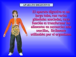 APARATO DIGESTIVO

     El aparato digestivo es un
        largo tubo, con varias
     glándulas asociadas, cuya
     función es transformar los
    alimentos en sustancias más
         sencillas, fácilmente
    utilizables por el organismo.
 