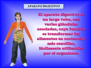 APARATO DIGESTIVO

     El aparato digestivo es
       un largo tubo, con
        varias glándulas
    asociadas, cuya función
       es transformar los
    alimentos en sustancias
          más sencillas,
     fácilmente utilizables
        por el organismo.
 