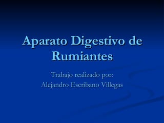 Aparato Digestivo de Rumiantes Trabajo realizado por: Alejandro Escribano Villegas 
