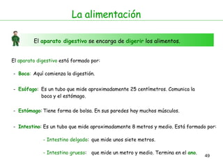 La alimentación El  aparato digestivo  se encarga de  digerir  los alimentos. El  aparato digestivo  está formado por: -  Boca : -  Esófago : Aquí comienza la digestión.  Es un tubo que mide aproximadamente 25 centímetros. Comunica la boca y el estómago. -  Estómago : -  Intestino : Tiene forma de bolsa. En sus paredes hay muchos músculos.  Es un tubo que mide aproximadamente 8 metros y medio. Está formado por: - Intestino delgado : que mide unos siete metros. - Intestino grueso : que mide un metro y medio. Termina en el  ano . 