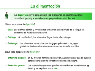 La  digestión  sirve para dividir los alimentos en sustancias más sencillas, para que nuestro cuerpo pueda aprovecharlas. La alimentación ¿Cómo se produce la  digestión ? -  Boca : -  Esófago : Los dientes cortan y trituran los alimentos. Con la ayuda de la lengua los  alimentos se mezclan con la saliva.  A través de él, los alimentos llegan hasta el estómago. -  Estómago : -  Intestino delgado : Los alimentos se mezclan con los  jugos gástricos . Los jugos gástricos deshacen los alimentos en sustancias más sencillas.  En su interior termina la digestión. Las sustancias que se pueden aprovechar pasan del intestino delgado a la sangre.  -  Intestino grueso : Las sustancias que no se pueden aprovechar se transforman en heces y se expulsan por el  ano .  ¿Qué pasa después de la  digestión ? 